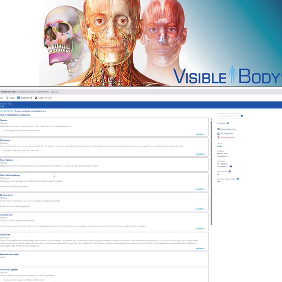 Anatomia 3D