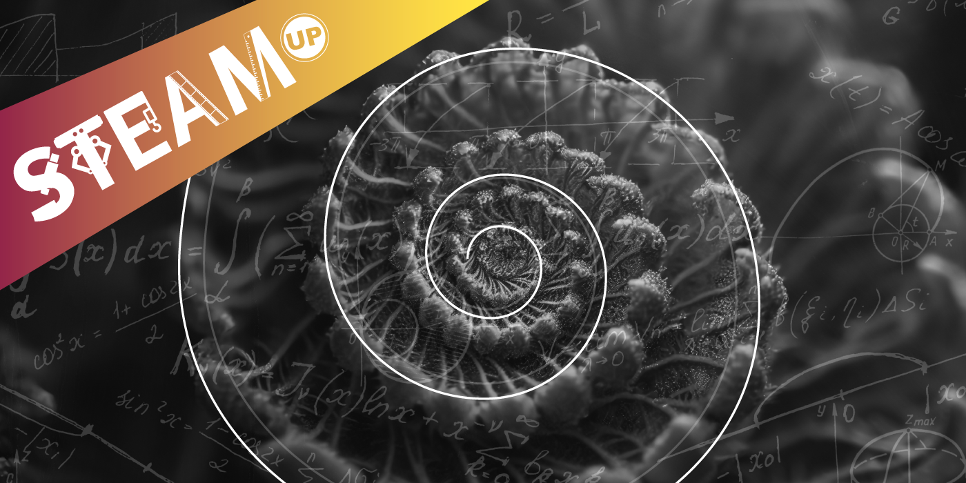 LAB STEAM - Geometrie