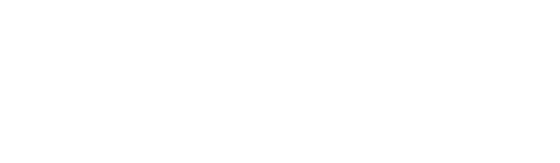 Logo FSE