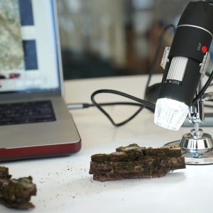 microscopio_original