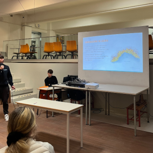 OD_calvino10_original