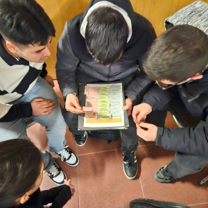 marcopolopcto8_original