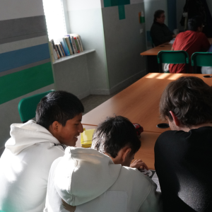 fassicomopcto6_original