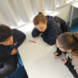 accturpcto3_original